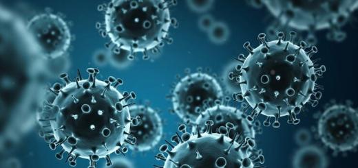 Среда обитания вирусов биология